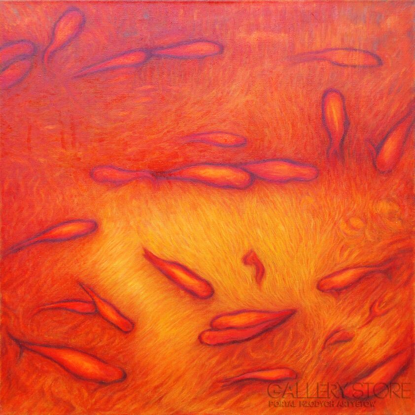 First26911 Last26911-Orange fish-Olej