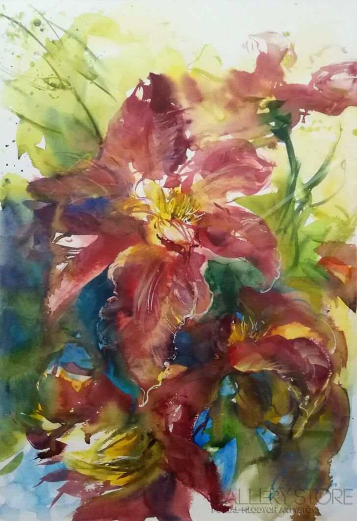 First31275 Last31275-Clematis-Akwarela