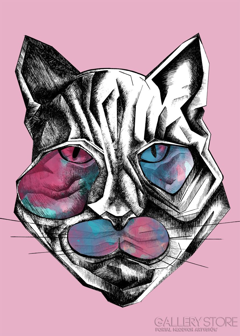 First27129 Last27129-kitty-Plakaty
