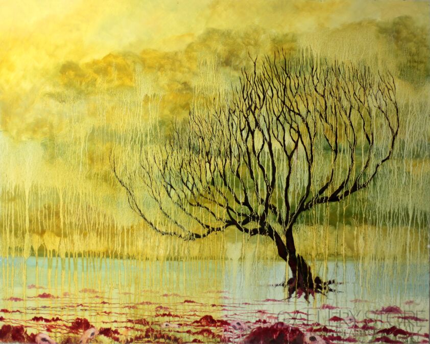 First32341 Last32341-Tree-Olej