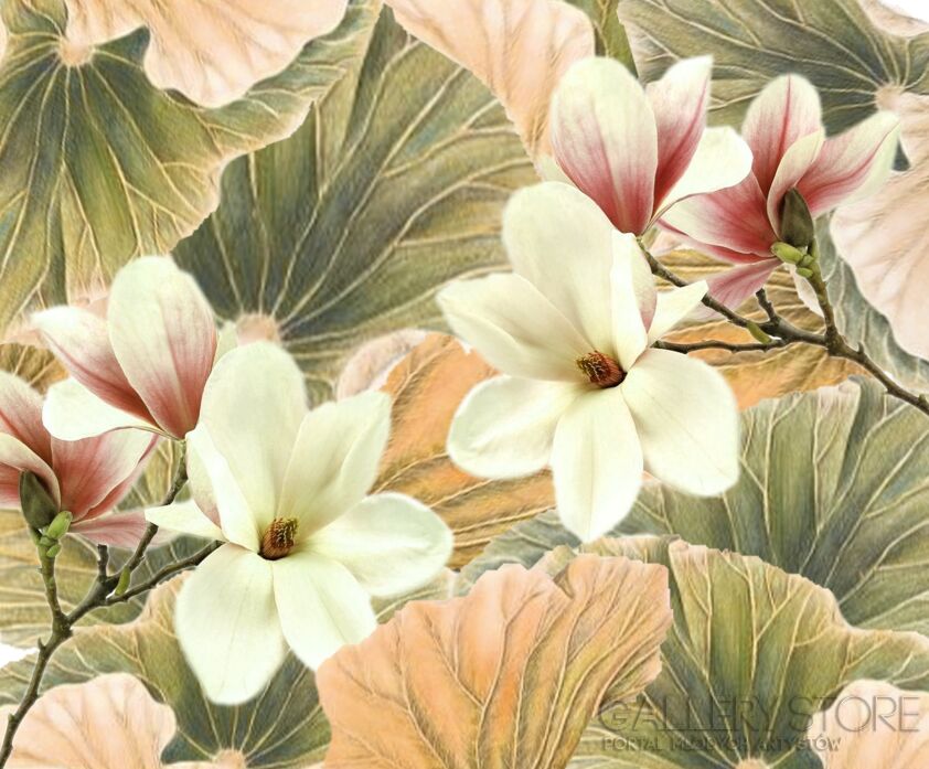 First38082 Last38082-Magnolie / papier-Plakaty