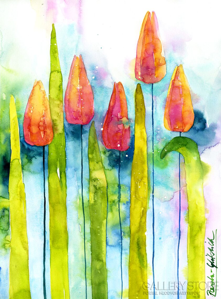 First182 Last182-Colorful tulip -Akwarela