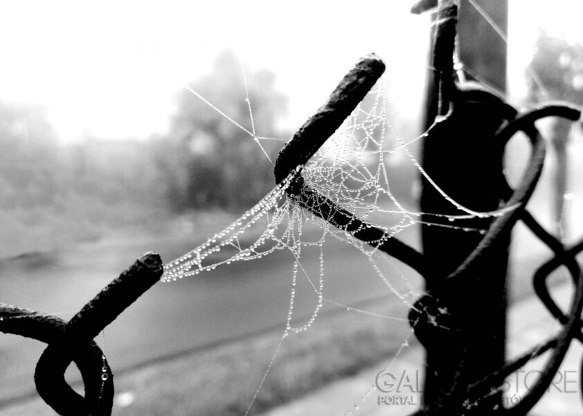 First34287 Last34287-Drop 1-Fotografia