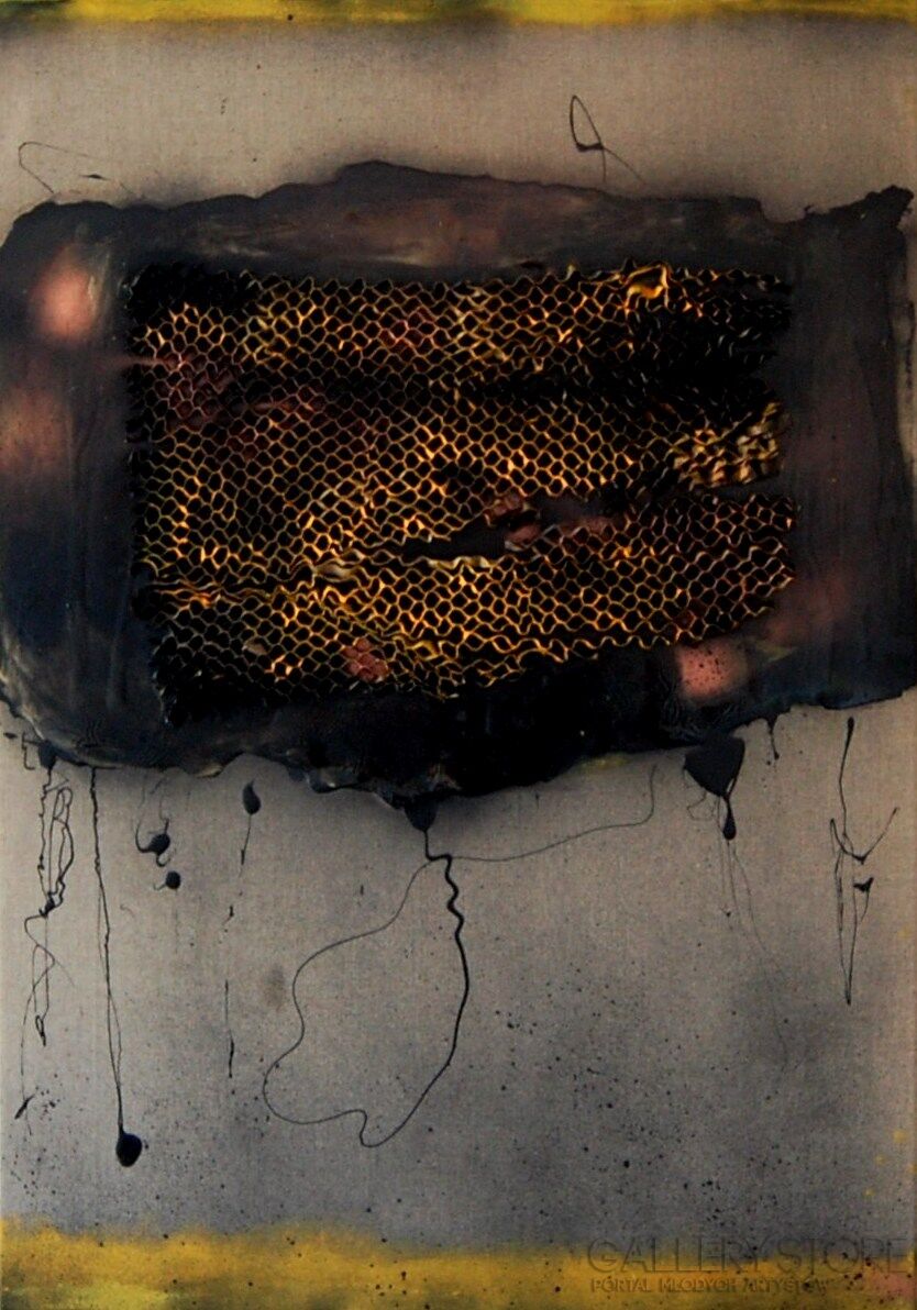 First26353 Last26353-Black Honey-Olej