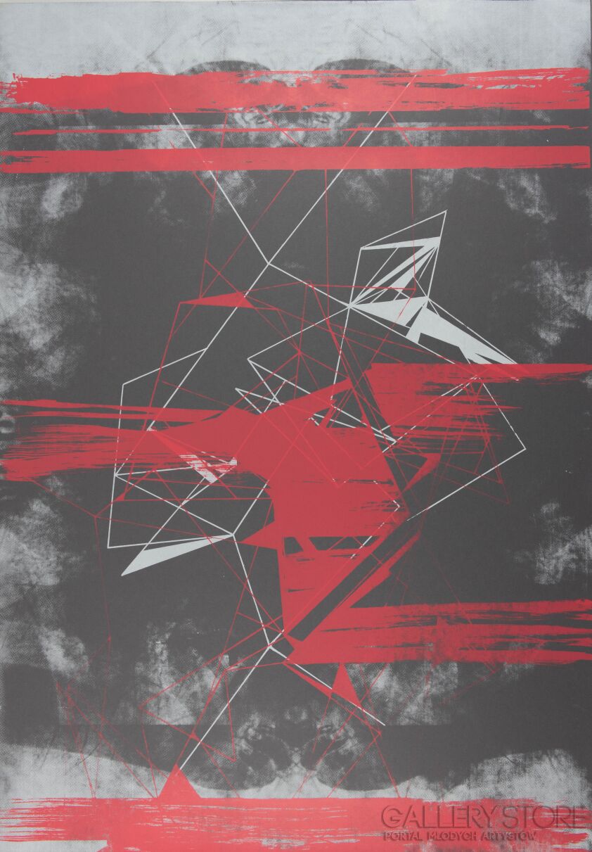 First27957 Last27957-Kosmos II-Serigrafia