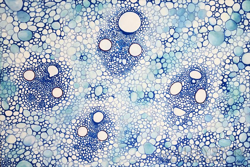 First28608 Last28608-PLANT CELLS-Akryl