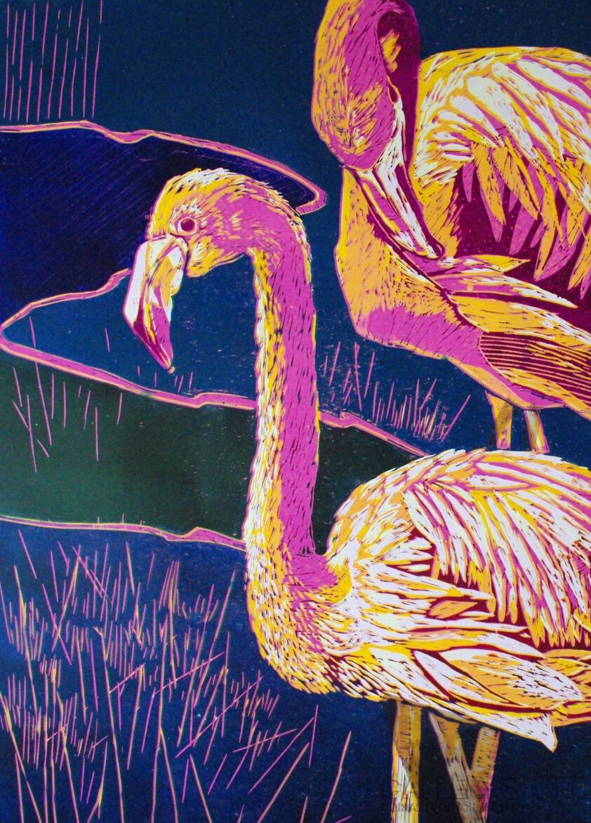 First2617 Last2617-flamingi-Plakaty