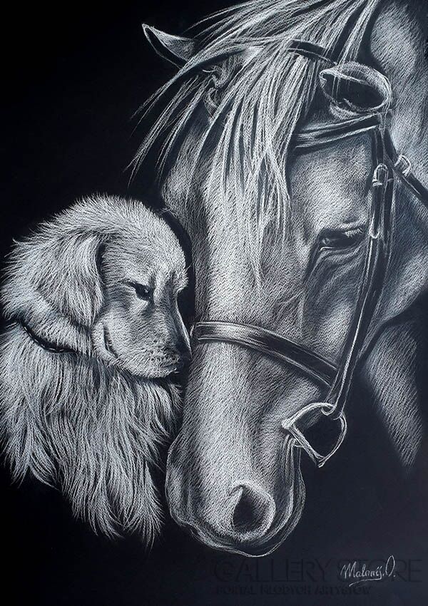 First38471 Last38471-Friendship-Rysunek