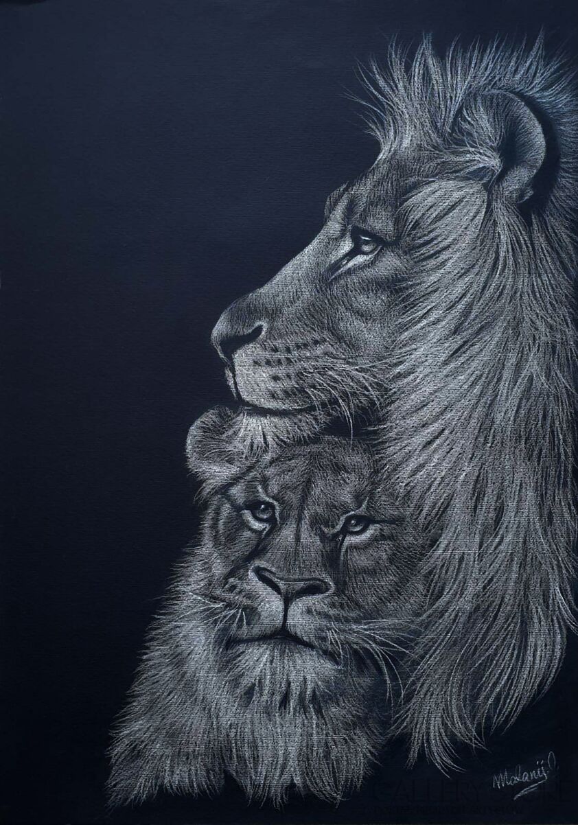 First38471 Last38471-A pair of Lions -Rysunek
