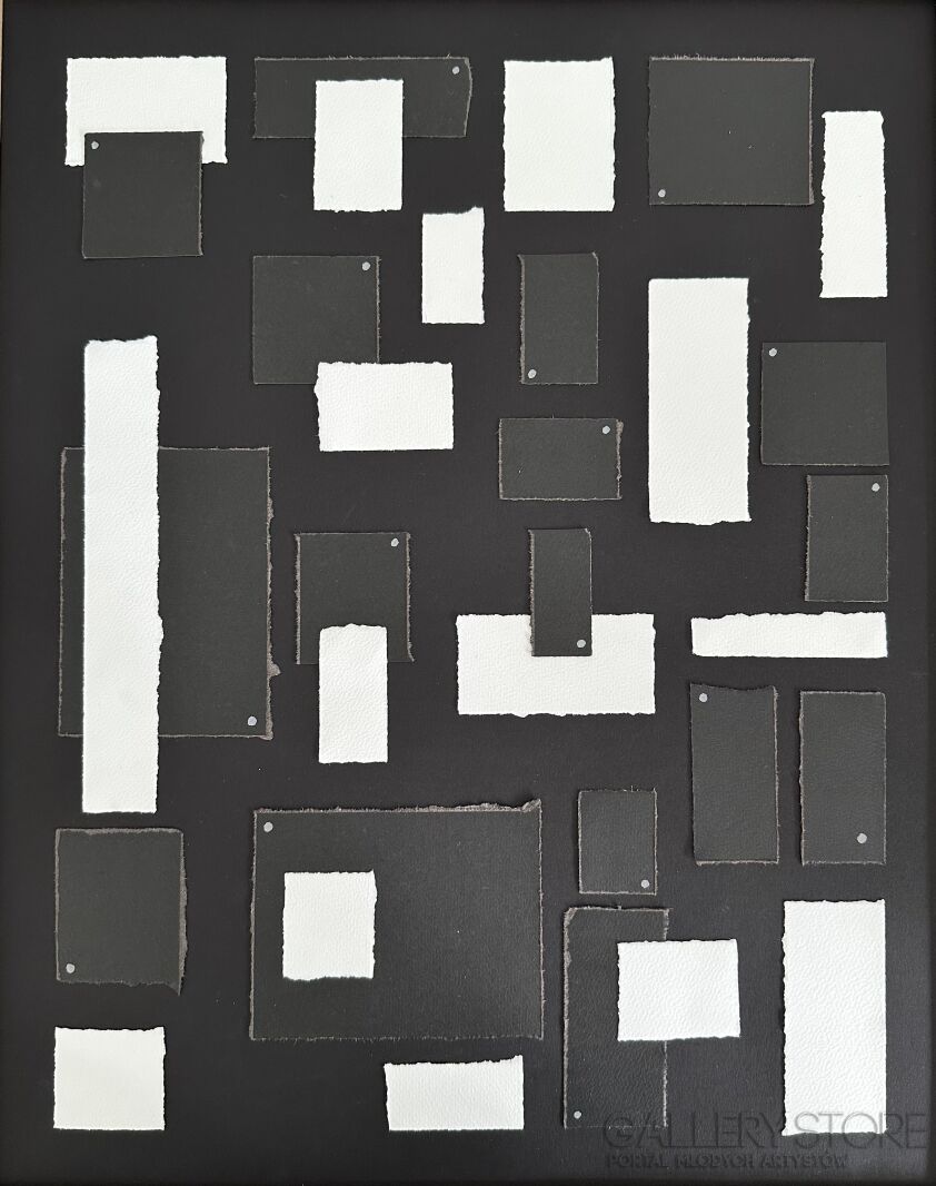 First38055 Last38055-BLACK AND WHITE-Technika mieszana