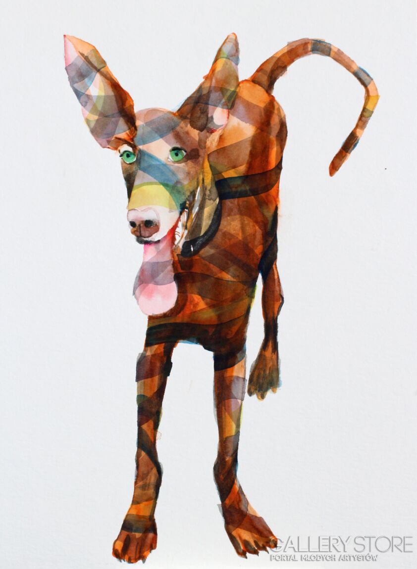 First31166 Last31166-Podenco canario-Akwarela