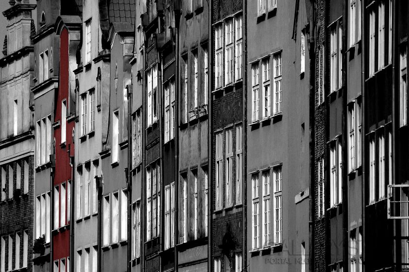 First30677 Last30677-ahh GDANSK-Fotografia