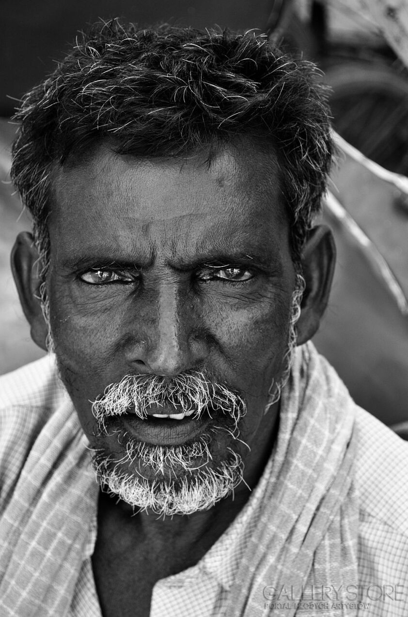 First30677 Last30677-ahh Portret Indii-Fotografia