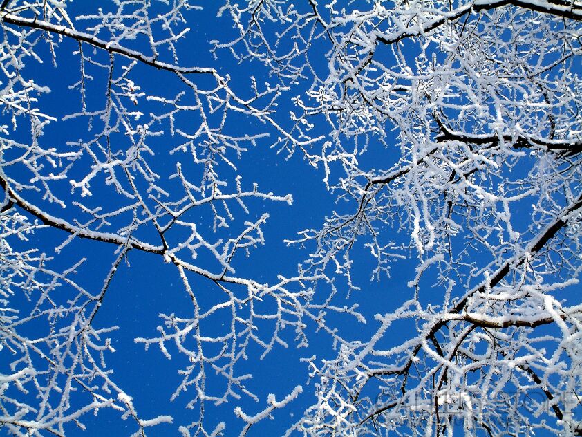 First30677 Last30677-ahh polish winter-Fotografia