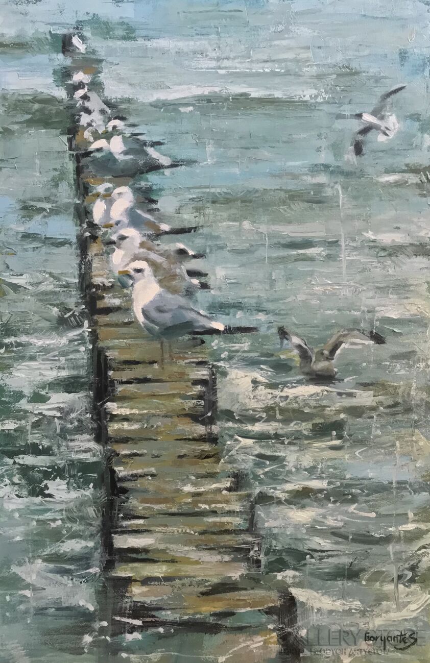 First32104 Last32104-Baltic gulls 2-Olej