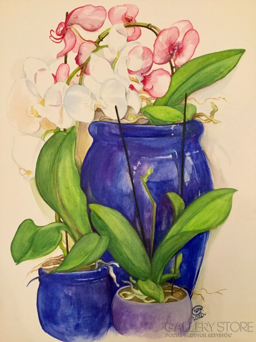 First177 Last177-Szafirowy dzban i orchidee-Akwarela