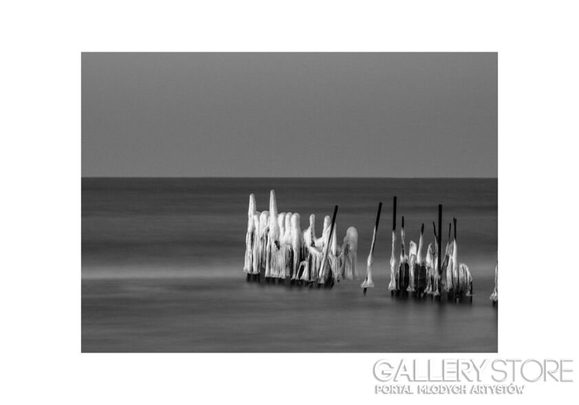 First36139 Last36139-FALOCHRON-Fotografia